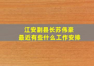 江安副县长苏伟豪 最近有些什么工作安排